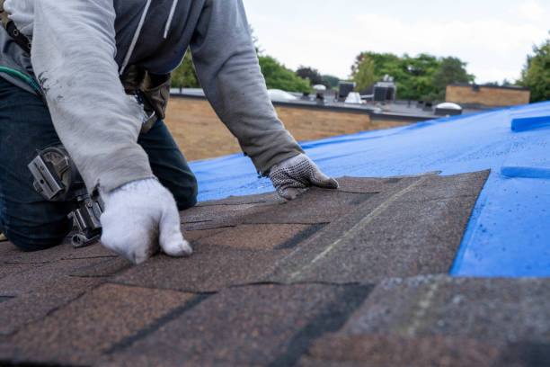Roof Waterproofing Services in Mount Vernon, MD