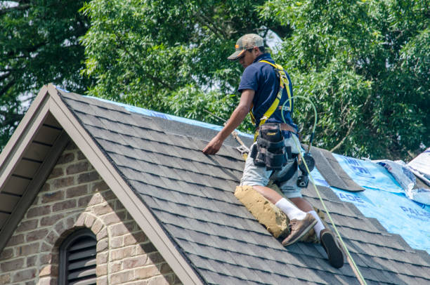 Best Roof Waterproofing Services  in Mount Vernon, MD